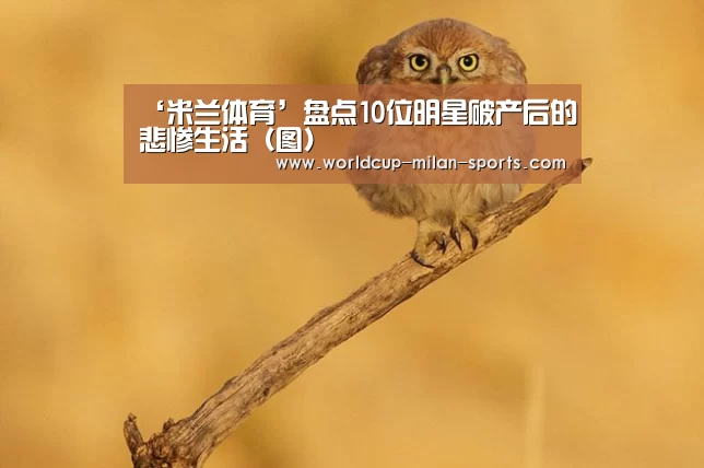 米兰体育网页版